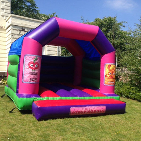 Moshi Monsters Bouncy Castle - Bouncy Castles Liverpool